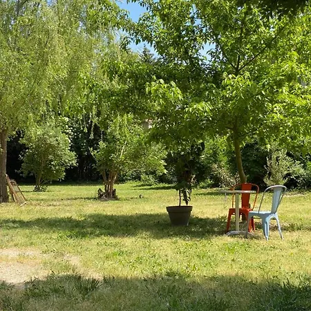 Bed & Breakfast D'hotes Les Cypres De L'ile Avignon